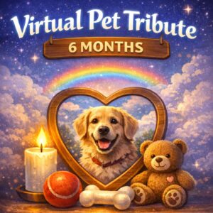Virtual Pet Tribute – 6 Months